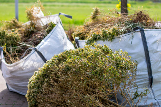 Best Commercial Cleanout Services  in Maywood, CA